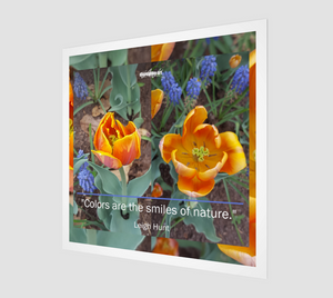 Wall Art - Fine Art Print - Nature - Flower Power - Tulip